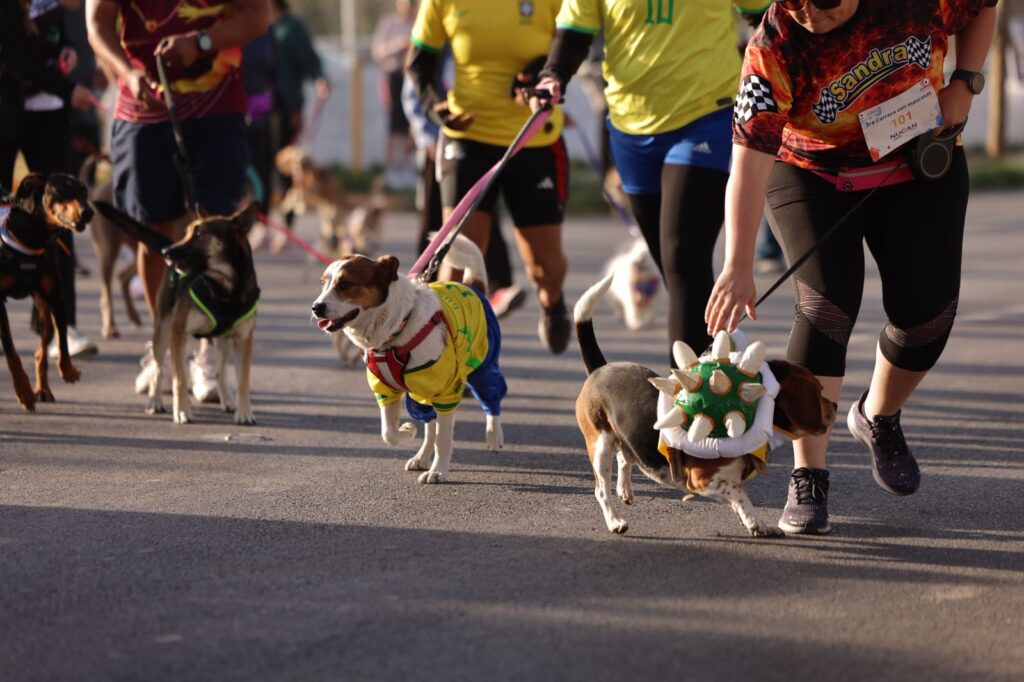 Cientos de juarenses acuden a la tercera carrera con mascotas en el chamizal