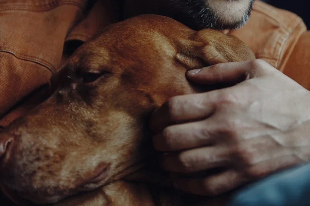 Get a dog, live longer?