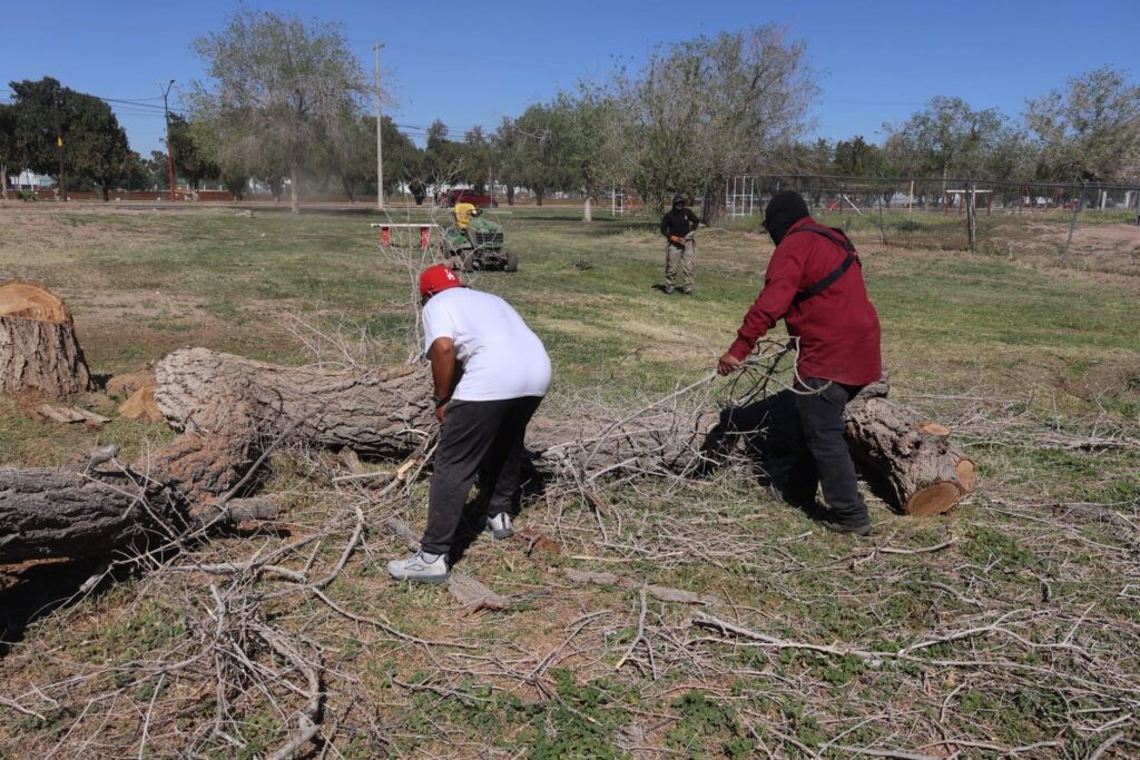 Personas infractoras realizan labores comunitarias en el chamizal y vivero municipal