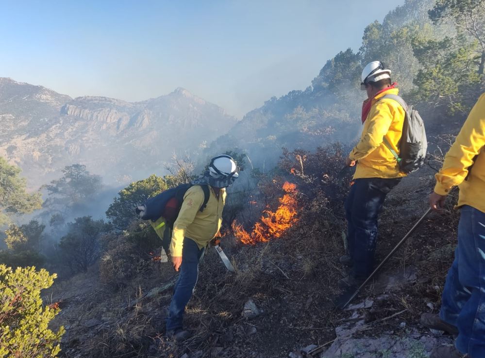 Pide desarrollo rural reforzar medidas de prevención contra los incendios forestales