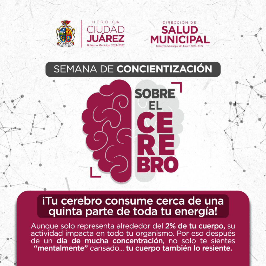 Semana de concientización del cerebro promueven hábitos para cuidar su salud