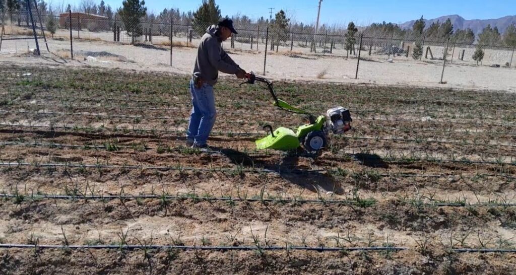 Impulsan uso de maquinaria ligera entre agricultores del valle de juárez
