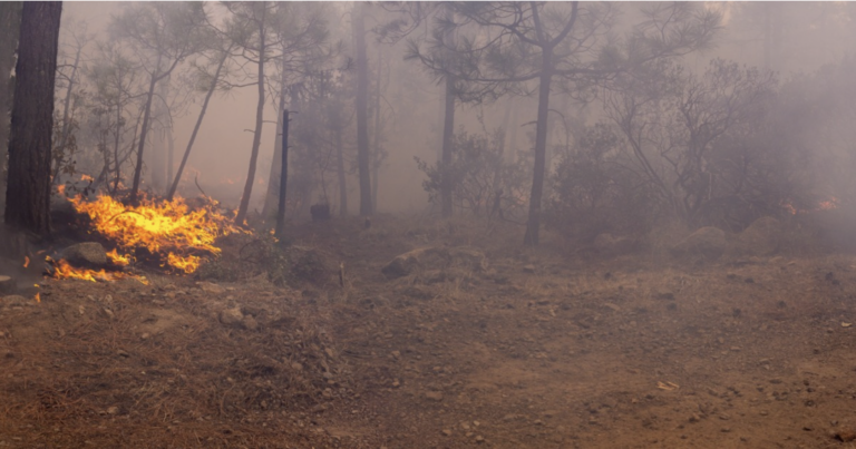 Llama sdr a evitar quemas agrícolas sin permiso para prevenir incendios forestales