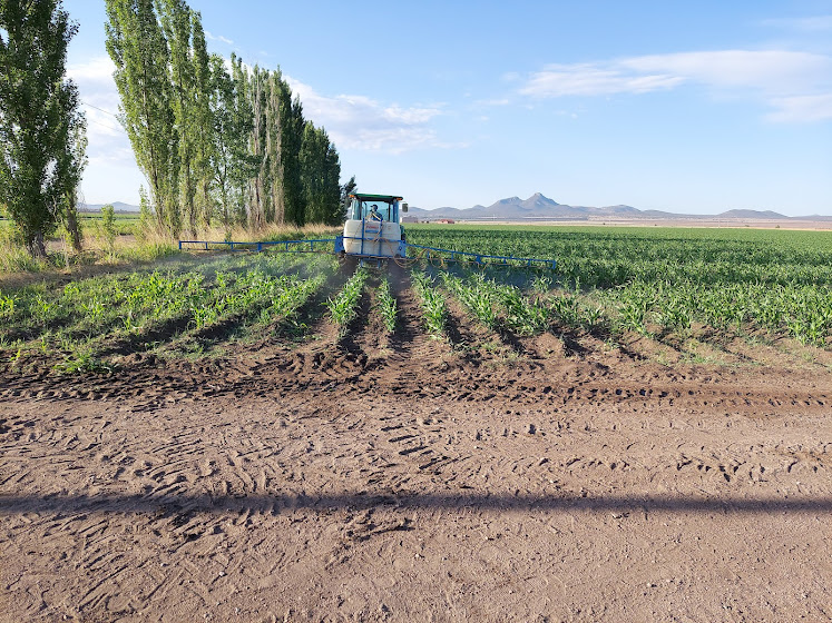 Los agricultores de riego ya pueden tramitar el apoyo de fertilizante para sus siembras