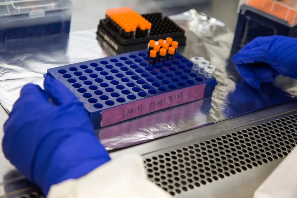 Nature is still molding human genes, study finds