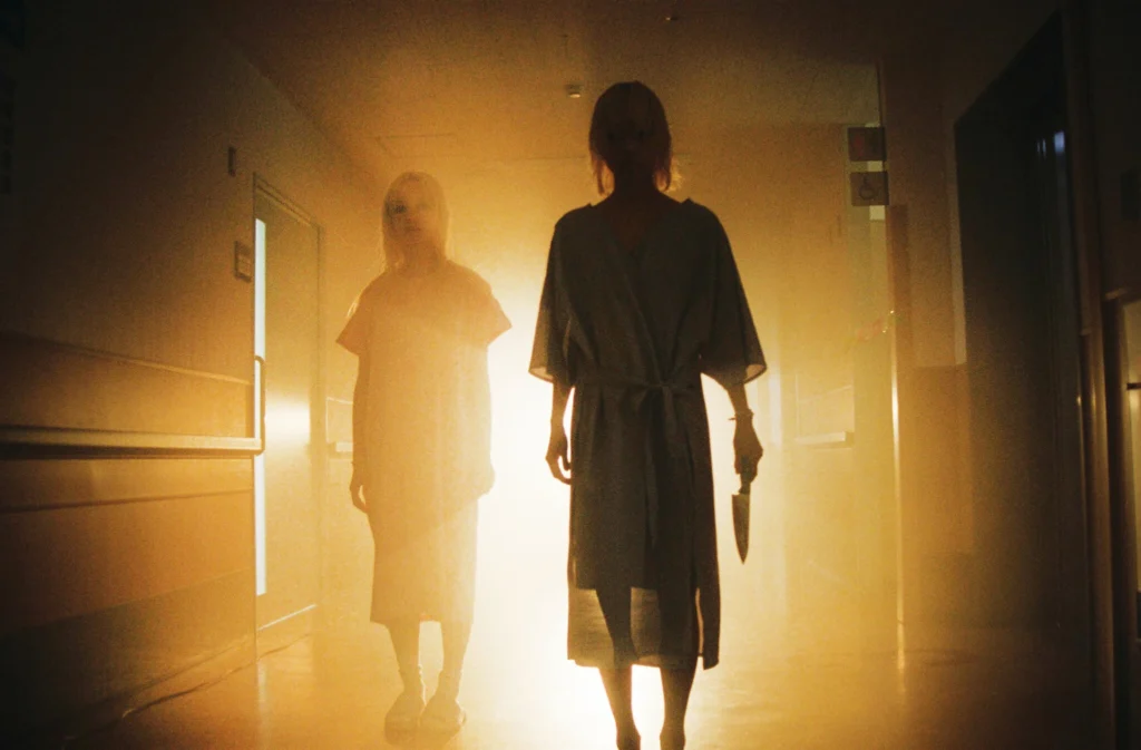 She invented a dark tale about fame, fandom and young women