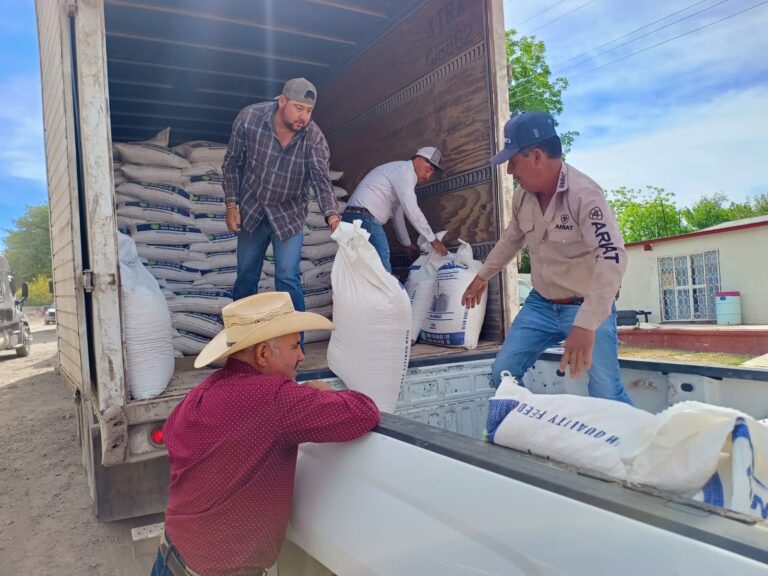 Convocan a organizaciones productoras para acceder a apoyos de insumos pecuarios