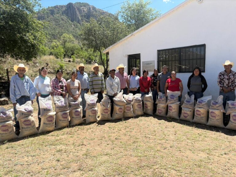 Distribuyen 280 toneladas de alimento en beneficio de 8 mil familias del sur del estado