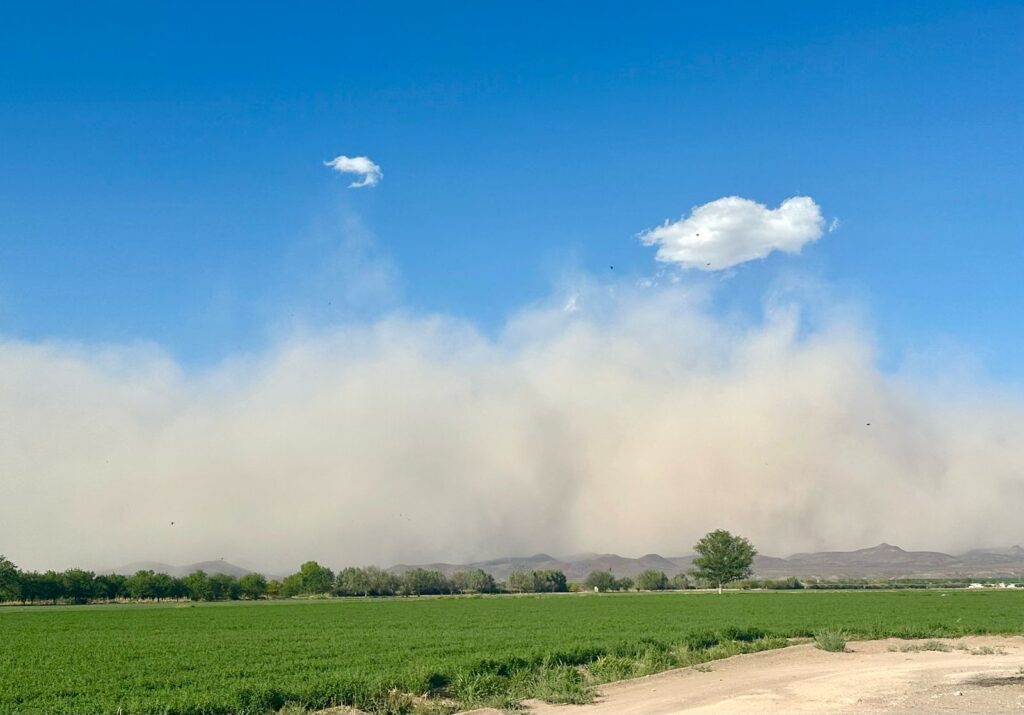 Mantiene cepc alerta preventiva por ráfagas de viento superiores a 75 km:h