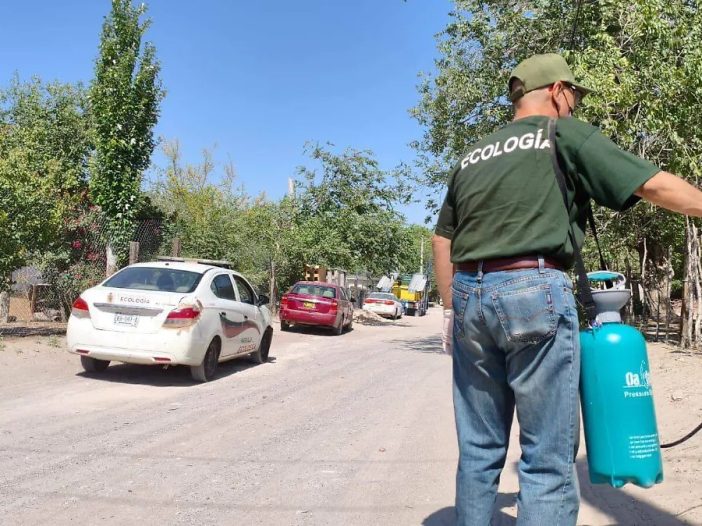 Reporta ecología casi 11 mil fumigaciones contra la garrapata durante el 2026
