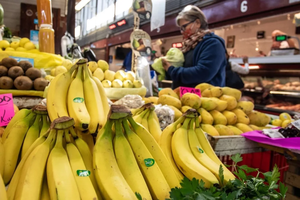 Productores de plátano exigen al gobierno acciones para frenar su contrabando