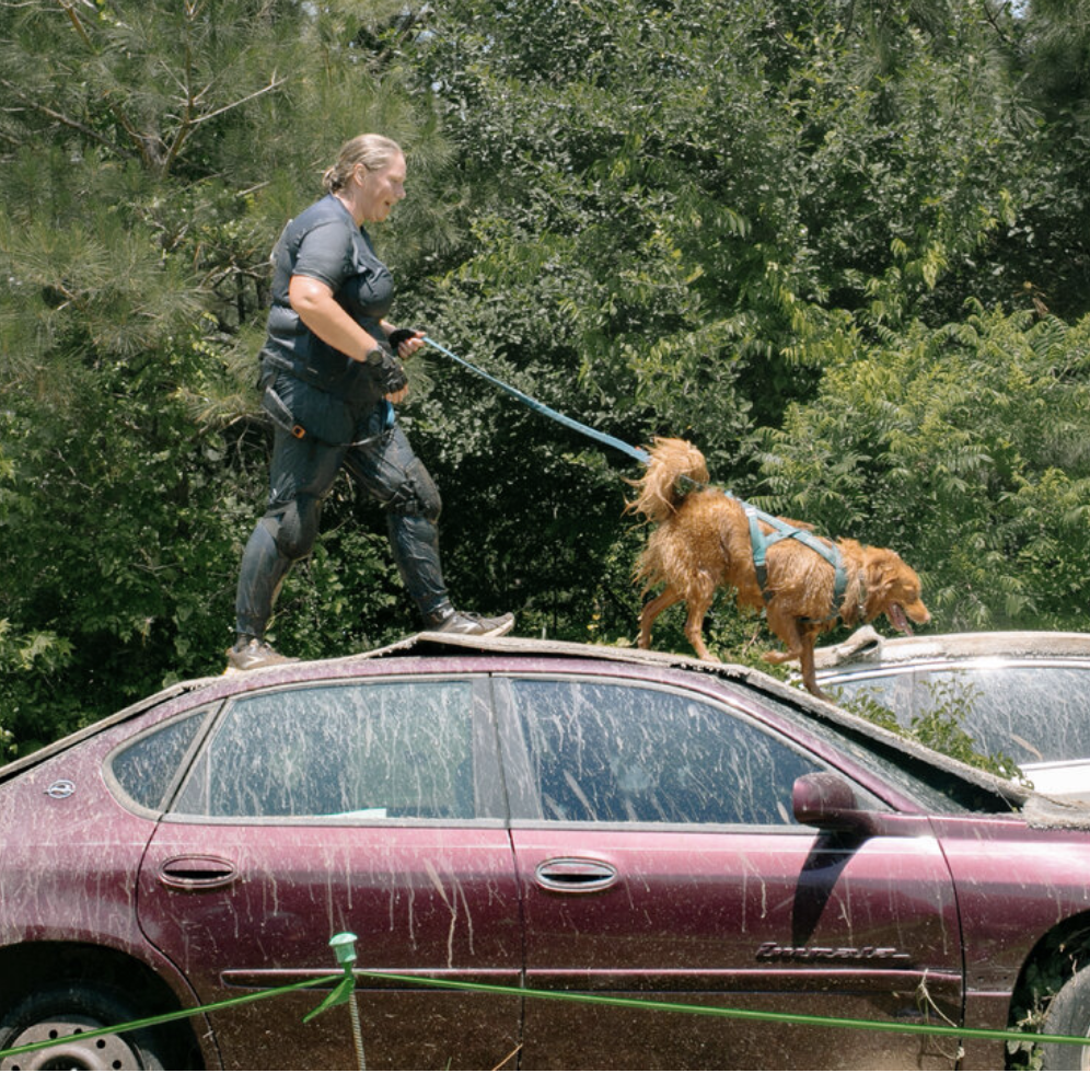 Why race alone when your dog can join, too?2
