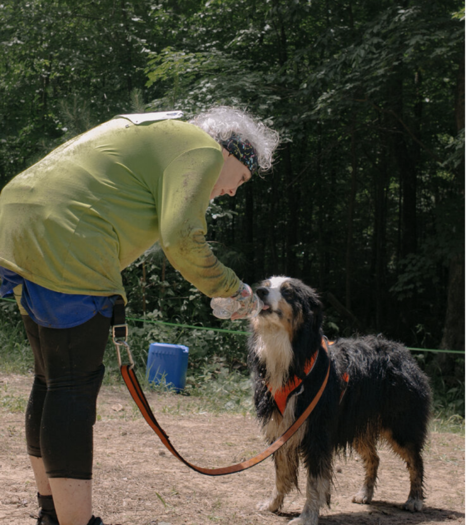 Why race alone when your dog can join, too?3