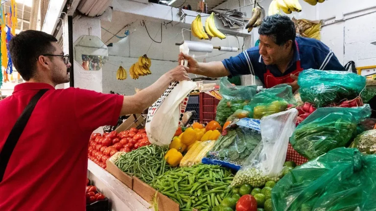 Analizan si lechuga vinculada a brote de diarrea en EU pudo pasar por Chihuahua