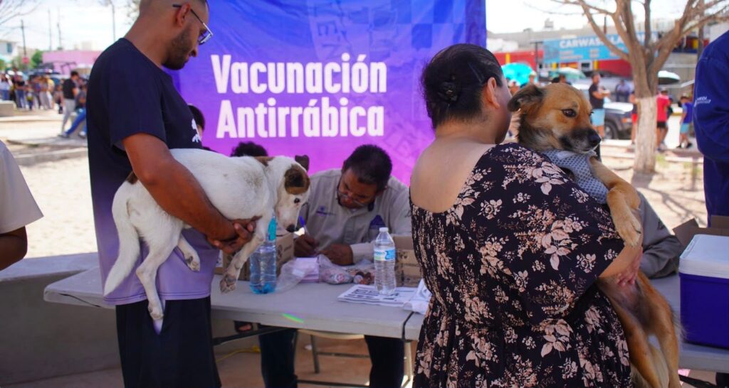 Exhorta gobierno estatal a prevenir las enfermedades transmitidas por animales