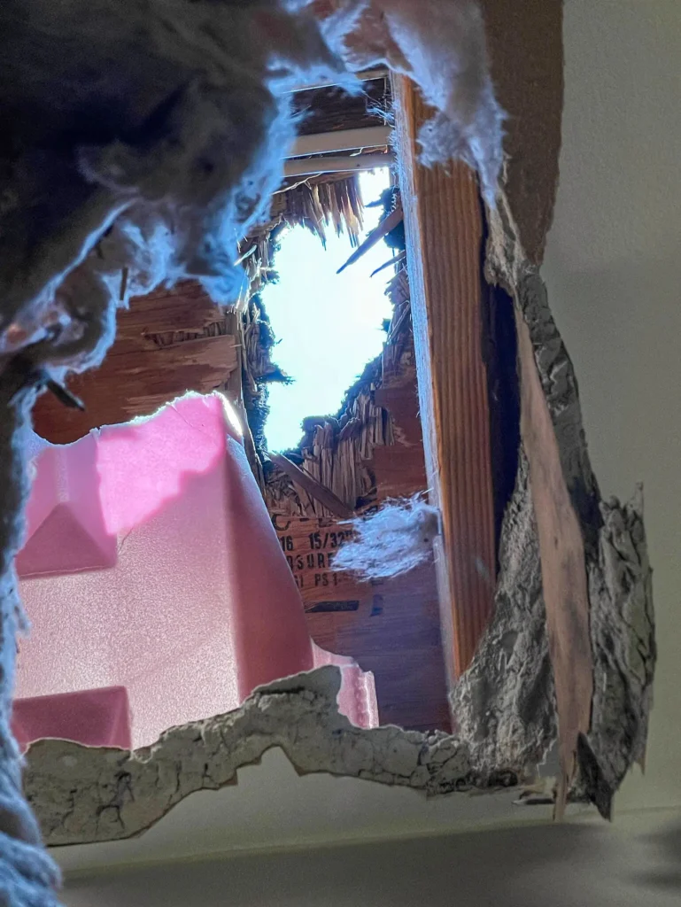 It’s a treasure to science. Too bad it came through their roof