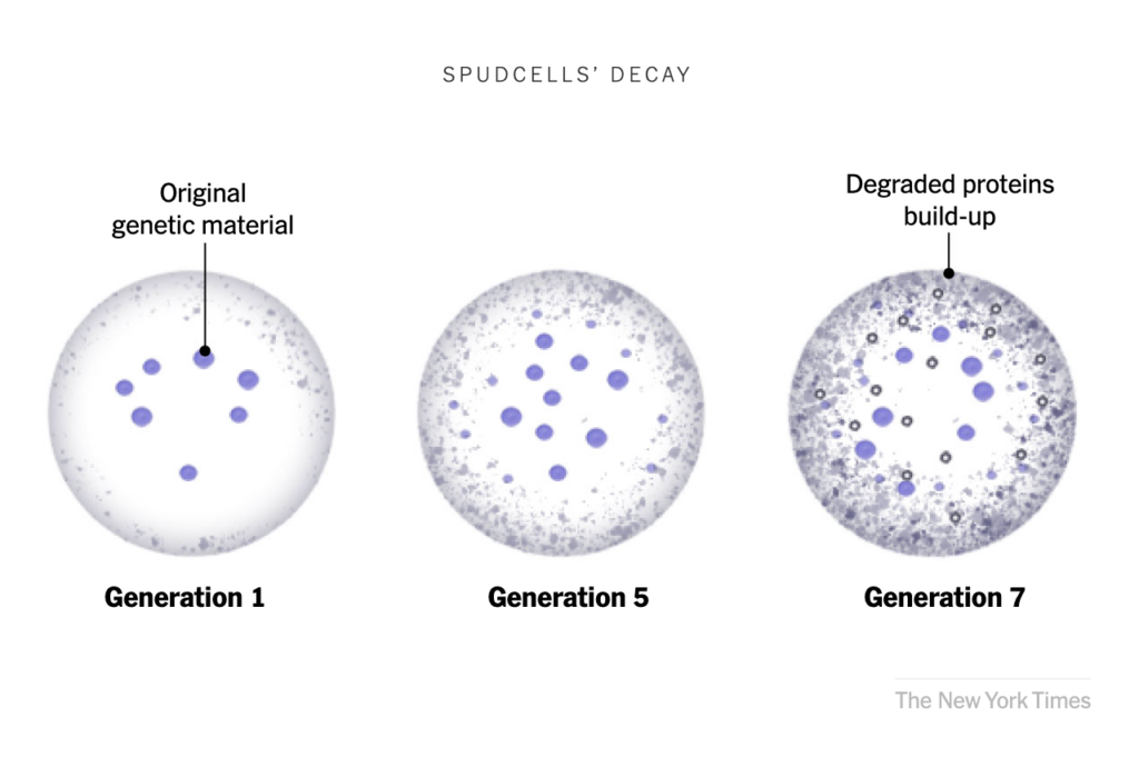 This cell feeds, grows and reproduces. And it’s manmade