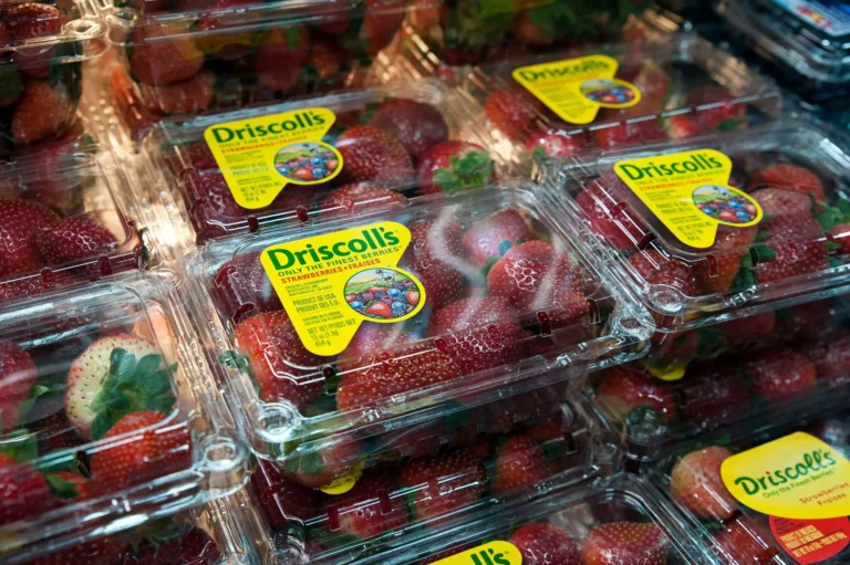 Why are berries everywhere, in every season? Driscoll’s