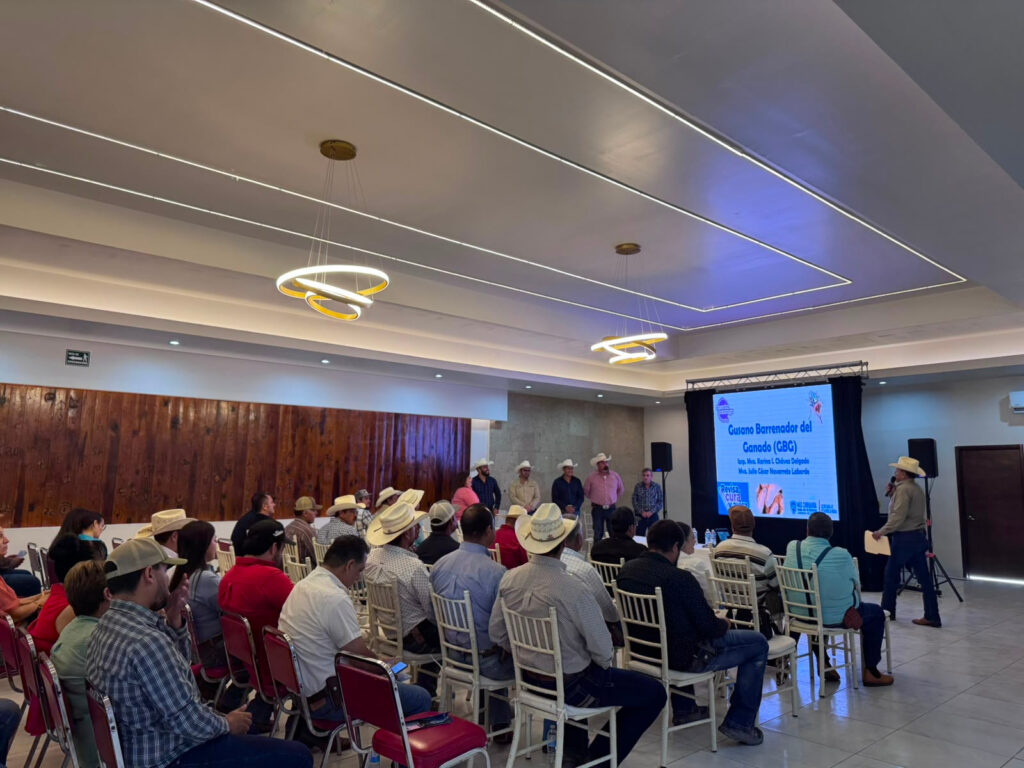 Capacita Desarrollo Rural contra el gusano barrenador a más de mil productores