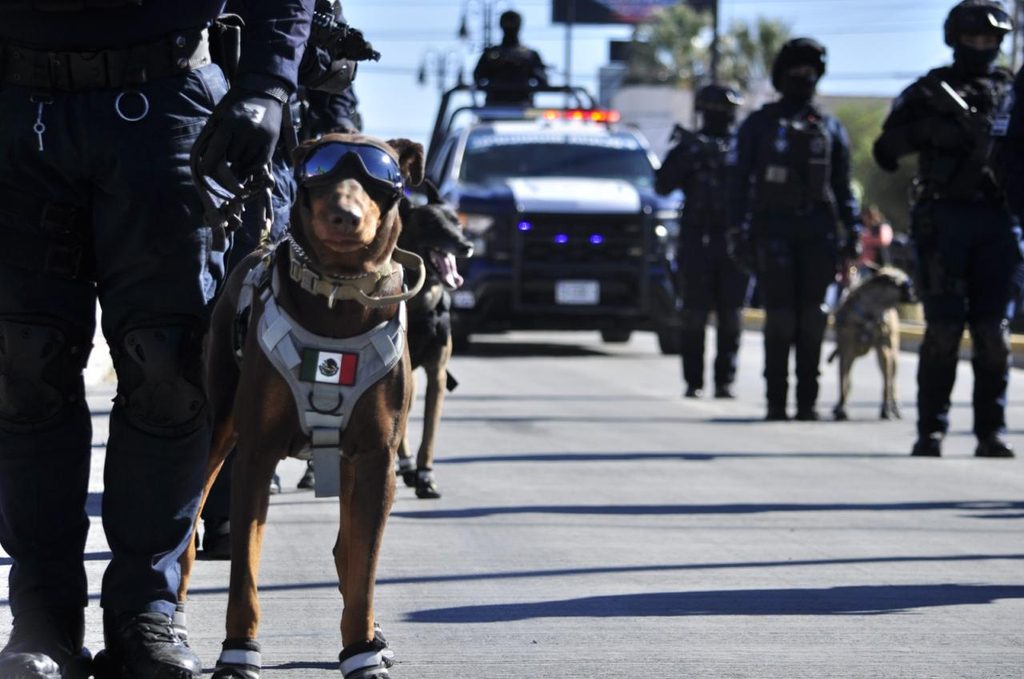Destaca agrupamiento K9 de Seguridad Pública Municipal importantes aseguramientos